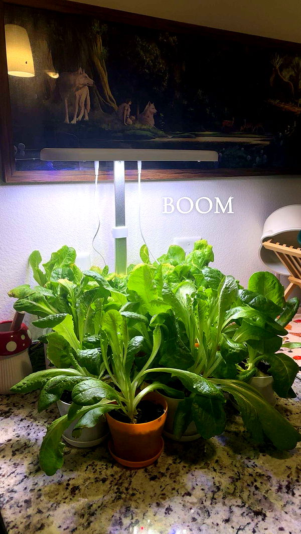 kaiileymae image ~ Altpins