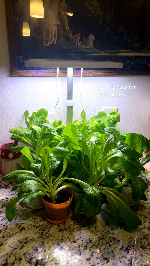 kaiileymae image ~ Altpins