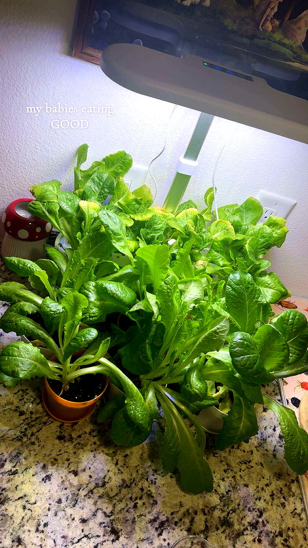 kaiileymae image ~ Altpins