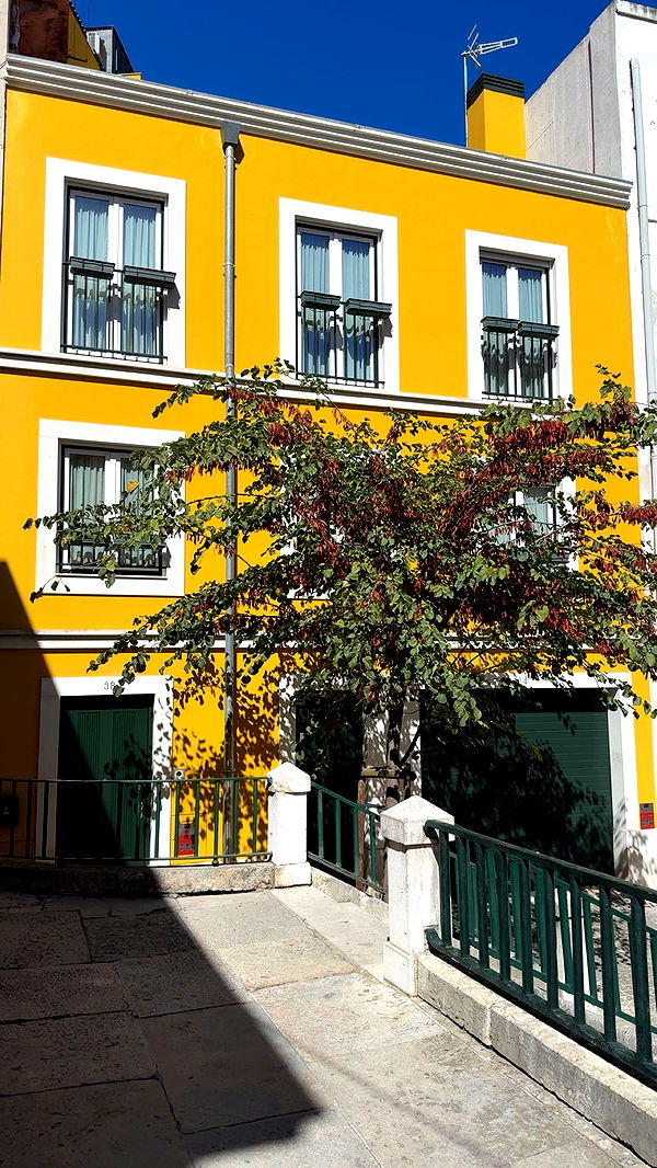 kaiileymae image ~ Altpins