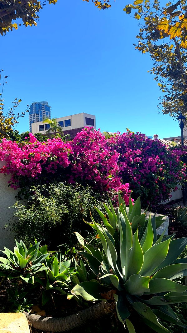 kaiileymae image ~ Altpins