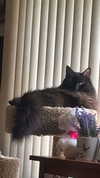kaitlyn_krems Altpins Profile Picture