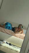 kaitlyn_krems Altpins Profile Picture