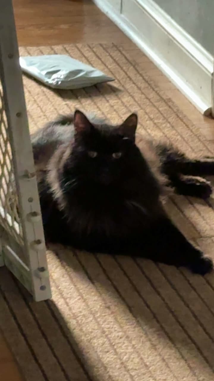 kaitlyn_krems snapchat image archive image