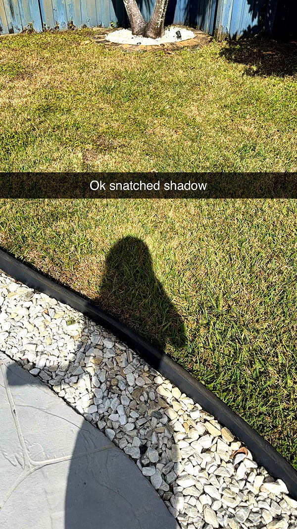 kaitlyn_krems image ~ Altpins