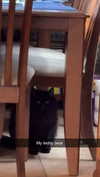 kaitlyn_krems Altpins Profile Picture