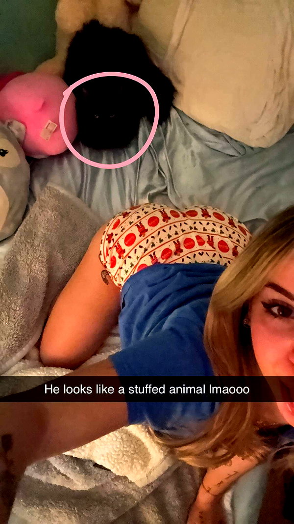 kaitlyn_krems snapchat image archive image