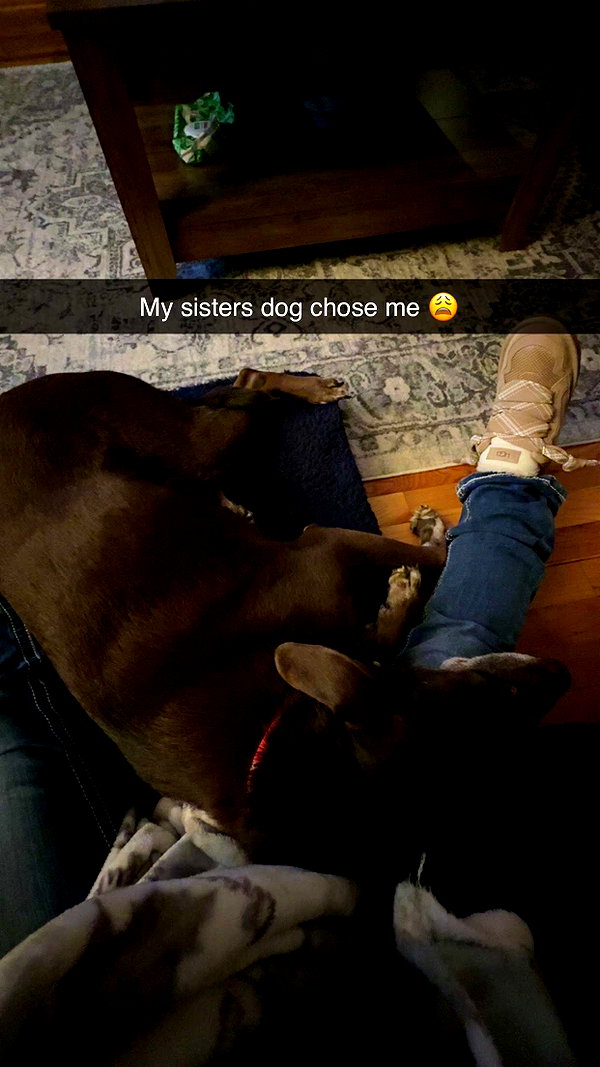 kaitlyn_krems snapchat image archive image