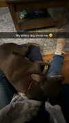 kaitlyn_krems Altpins Profile Picture