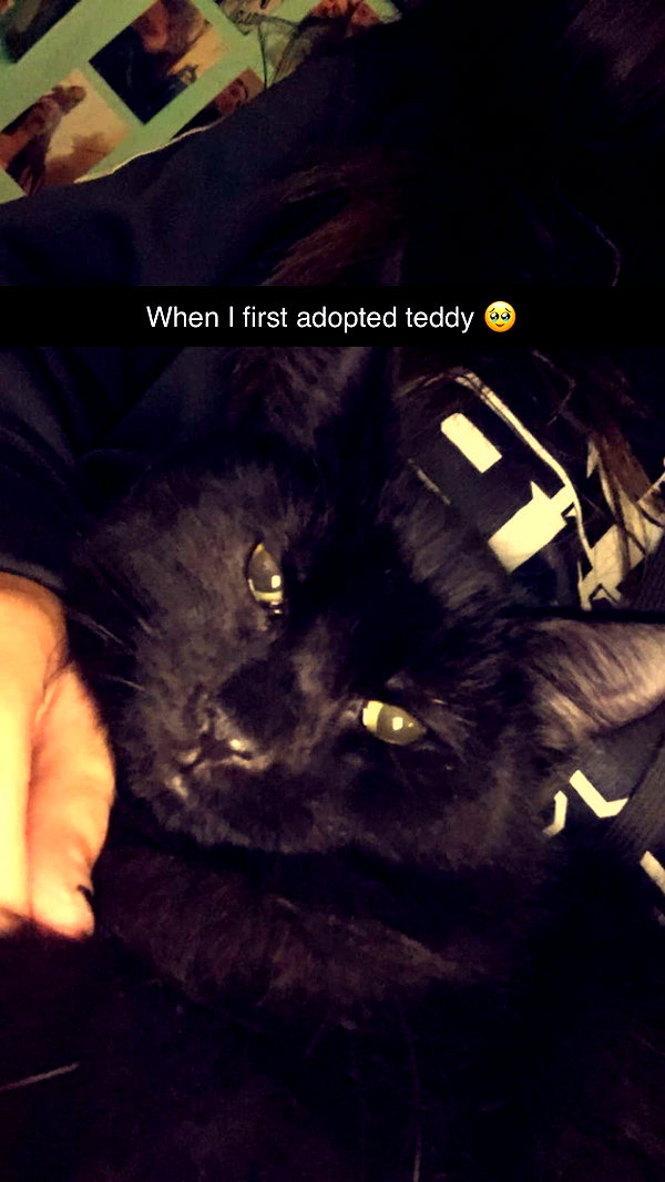 kaitlyn_krems snapchat image archive image
