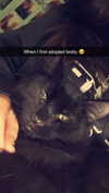 kaitlyn_krems Altpins Profile Picture