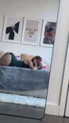 kaitlyn_krems Altpins Profile Picture