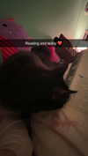 kaitlyn_krems Altpins Profile Picture