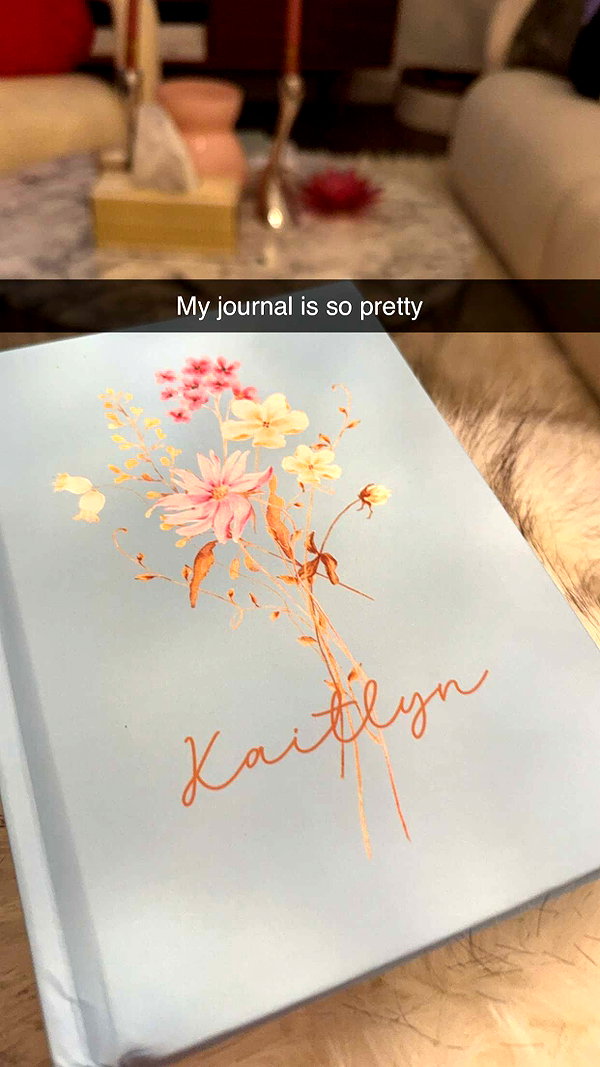 kaitlyn_krems snapchat image archive image