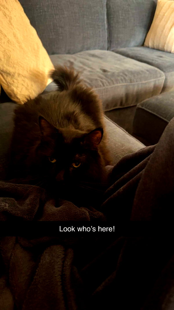 kaitlyn_krems snapchat image archive image