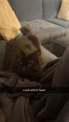 kaitlyn_krems Altpins Profile Picture