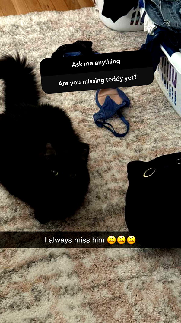 kaitlyn_krems snapchat image archive image