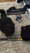 kaitlyn_krems Altpins Profile Picture