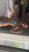 kaitlyn_krems Altpins Profile Picture