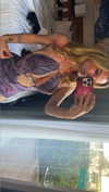 kaitlyn_krems Altpins Profile Picture