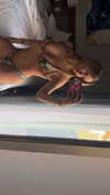 kaitlyn_krems Altpins Profile Picture