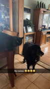 kaitlyn_krems Altpins Profile Picture