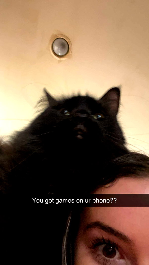 kaitlyn_krems snapchat image archive image