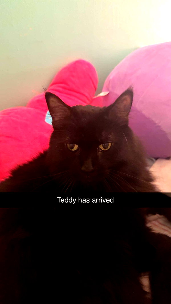 kaitlyn_krems snapchat image archive image