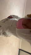 kaitlyn_krems Altpins Profile Picture
