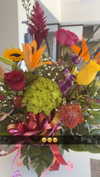 kaitlyn_krems Altpins Profile Picture