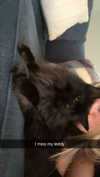 kaitlyn_krems Altpins Profile Picture