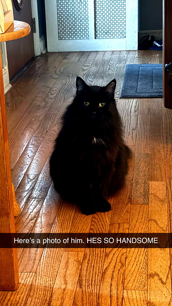 kaitlyn_krems snapchat image archive image