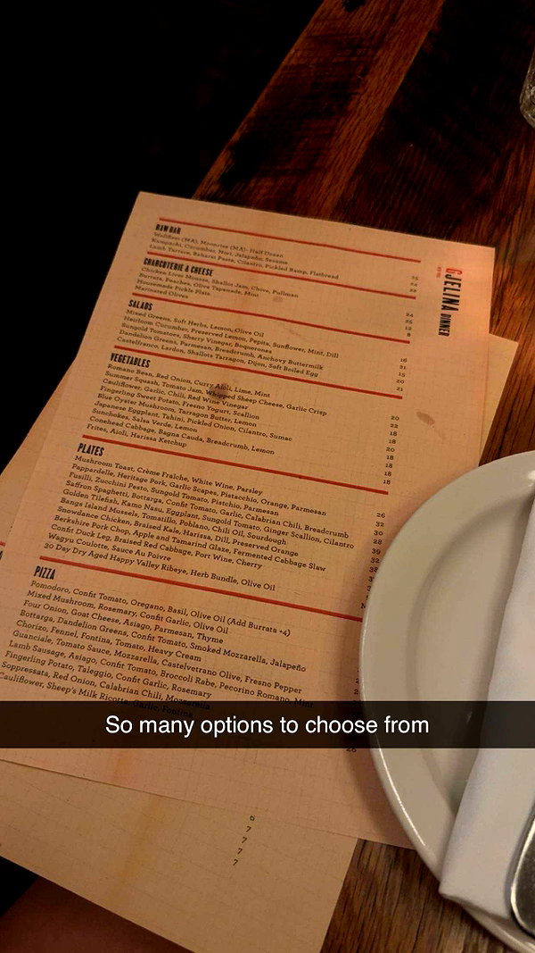 kaitlyn_krems snapchat image archive image