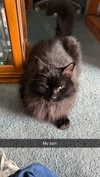 kaitlyn_krems Altpins Profile Picture