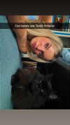 kaitlyn_krems Altpins Profile Picture