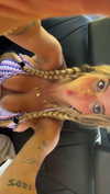 kaitlyn_krems Altpins Profile Picture