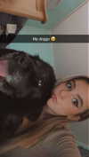 kaitlyn_krems Altpins Profile Picture