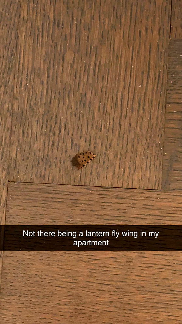 kaitlyn_krems snapchat image archive image