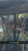 kaitlyn_krems Altpins Profile Picture