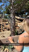 kaitlyn_krems Altpins Profile Picture