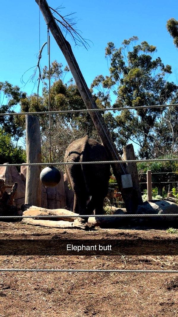 kaitlyn_krems snapchat image archive image