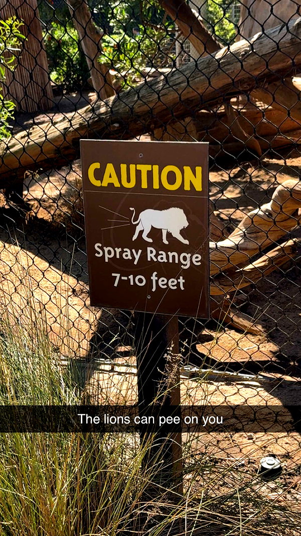 kaitlyn_krems snapchat image archive image