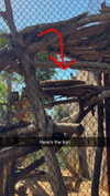 kaitlyn_krems Altpins Profile Picture