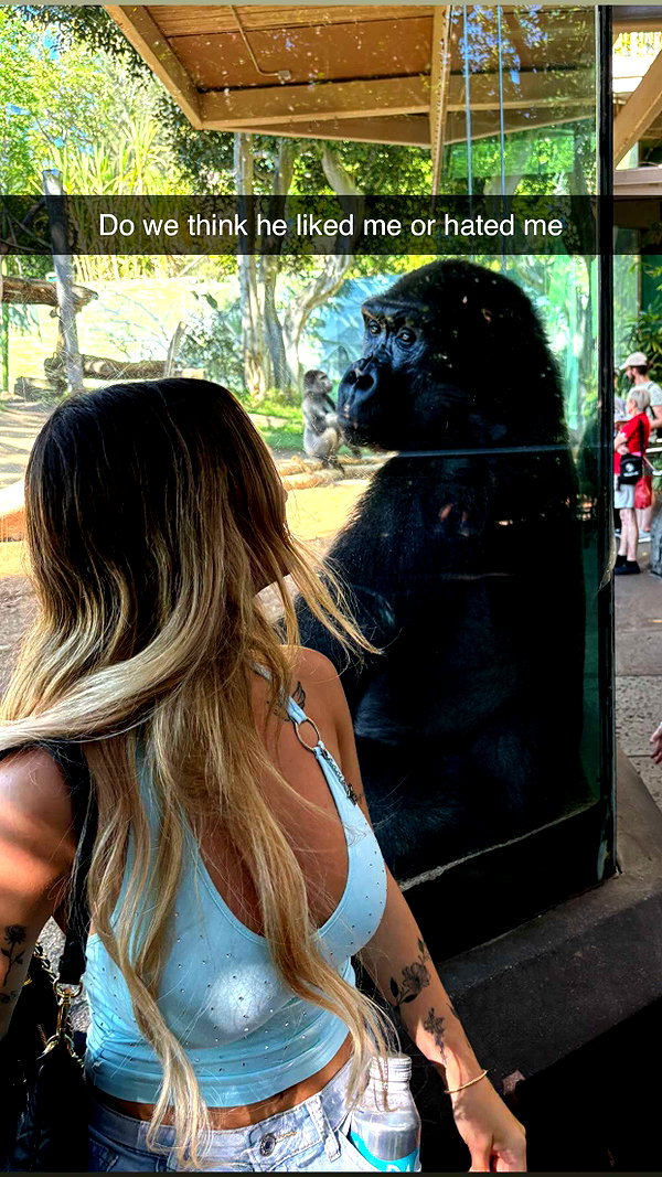 kaitlyn_krems snapchat image archive image