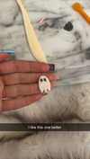 kaitlyn_krems Altpins Profile Picture