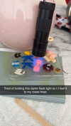 kaitlyn_krems Altpins Profile Picture