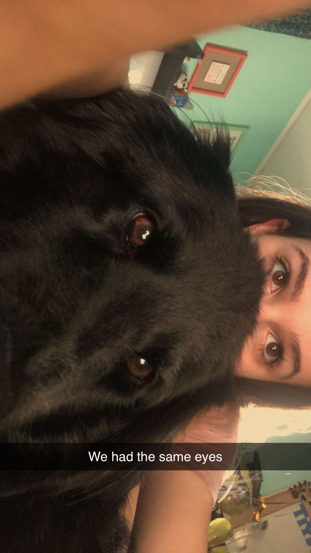 kaitlyn_krems snapchat image archive image