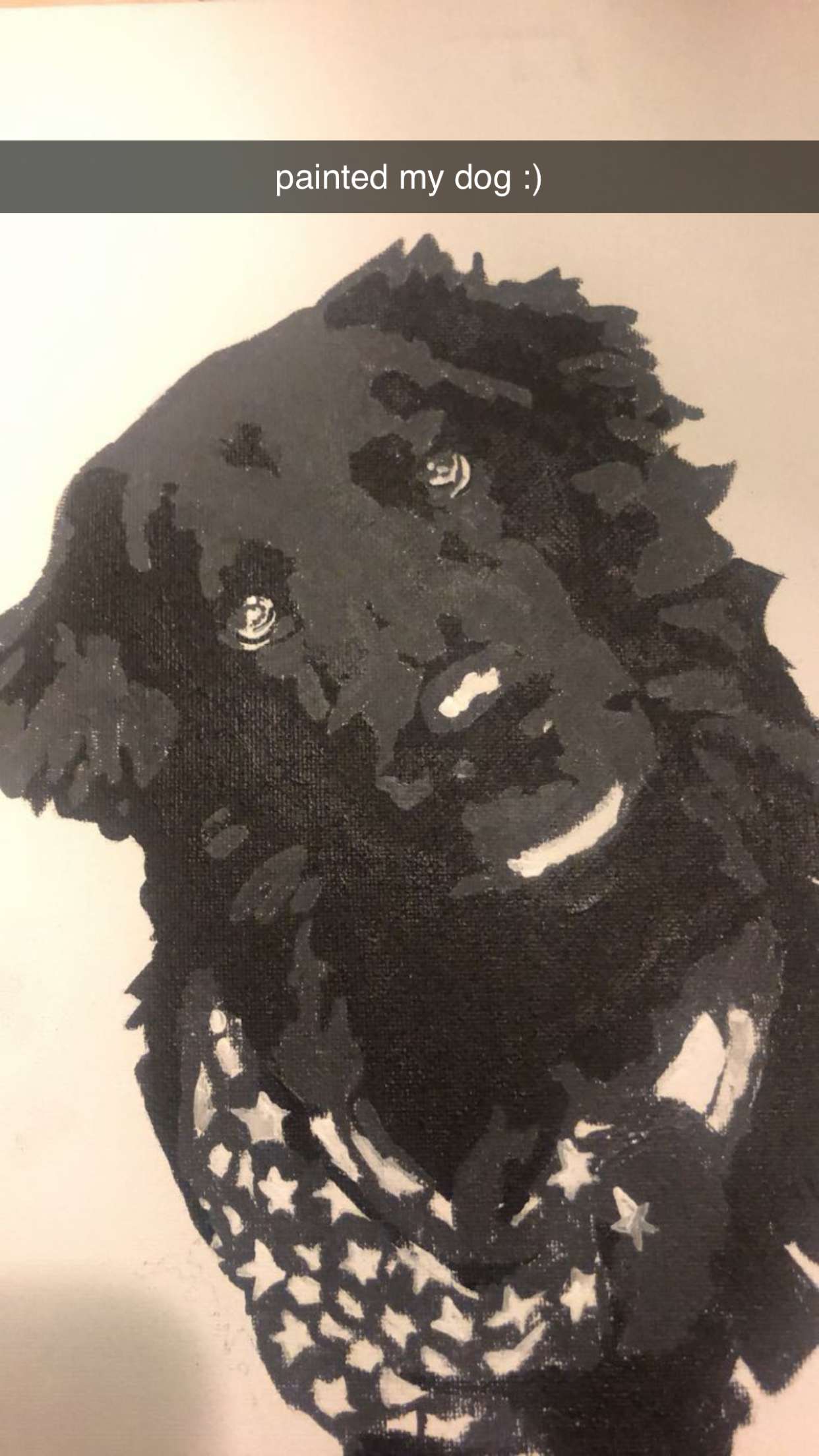 kaitlyn_krems snapchat image archive image