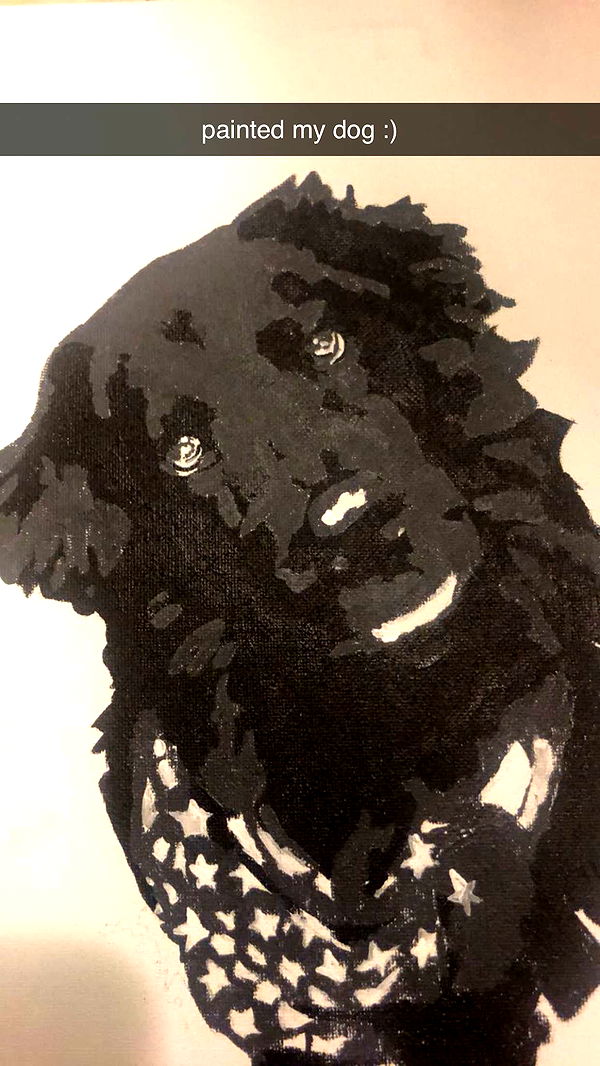 kaitlyn_krems image ~ Altpins