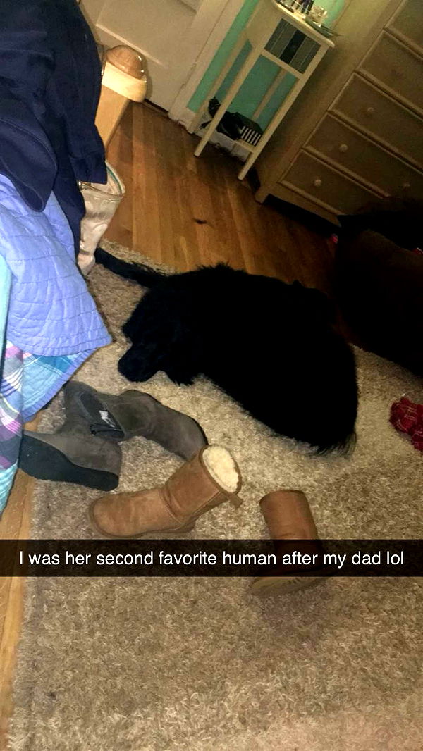 kaitlyn_krems image ~ Altpins